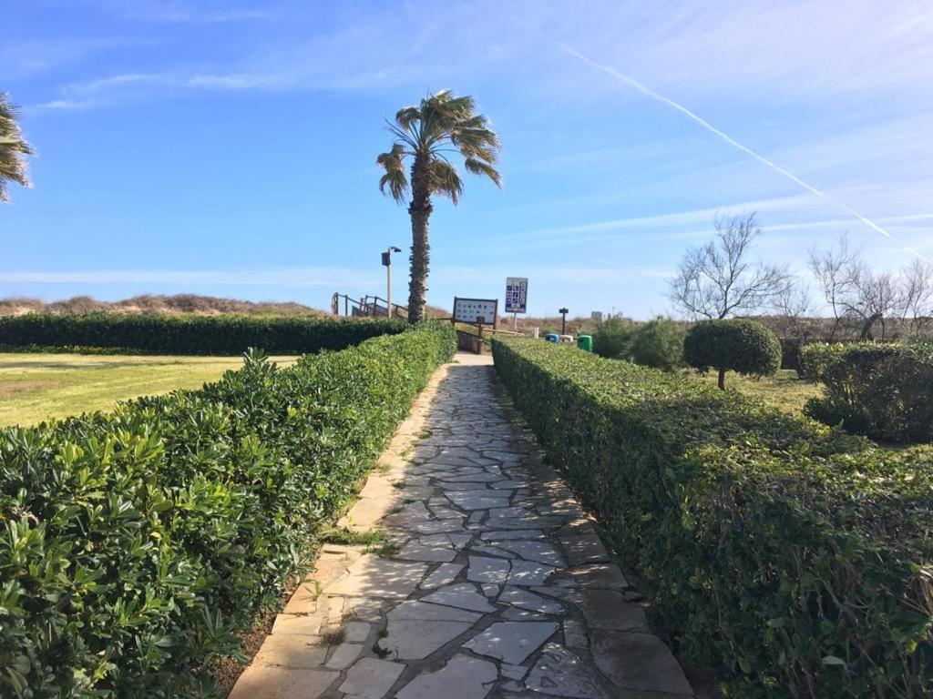 Apartamento A 100 Metros De La Playa Con Grande Terraza Y Vistas Al Mar Daimús Buitenkant foto