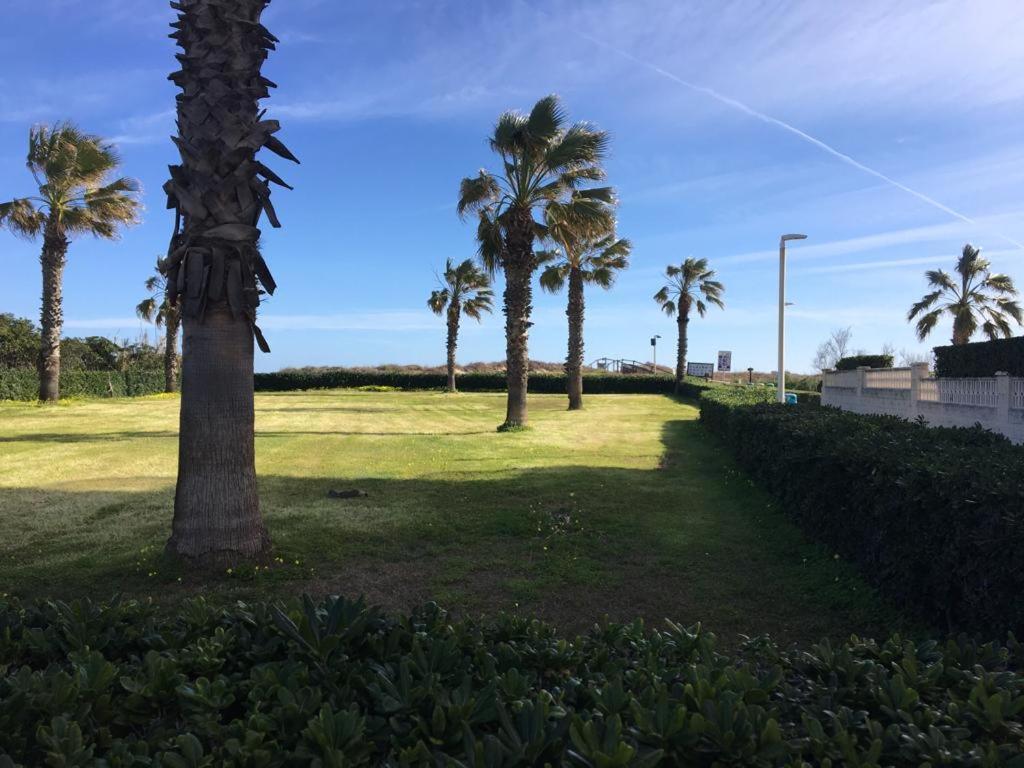 Apartamento A 100 Metros De La Playa Con Grande Terraza Y Vistas Al Mar Daimús Buitenkant foto